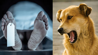 పదే పదే వక్రబుద్ధి చూపిస్తున్న దాయాది.. భయం గుప్పిట్లోనే బోర్డర్ ఏరియా!