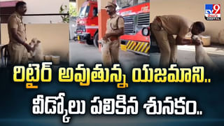 ‘టాకింగ్ ట్రీ’.. కబుర్లు చెబుదామా! AIతో వండర్‌ చేసిన ట్రినిటి పరిశోధకులు