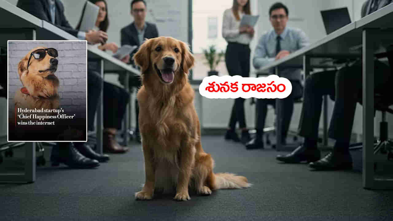 స్టార్టప్‌ కంపెనీలో CHOగా శునకం నియామకం.. వీలైతే CEO సీటు కూడా కావాలంటోంది?