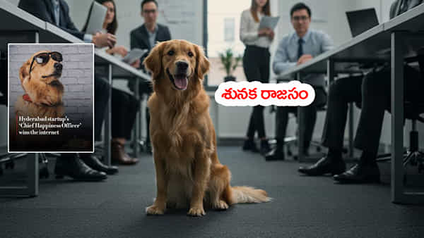 స్టార్టప్ కంపెనీలో CHOగా శునకం నియామకం.. వీలైతే CEO సీటు కూడా కావాలంటోంది?