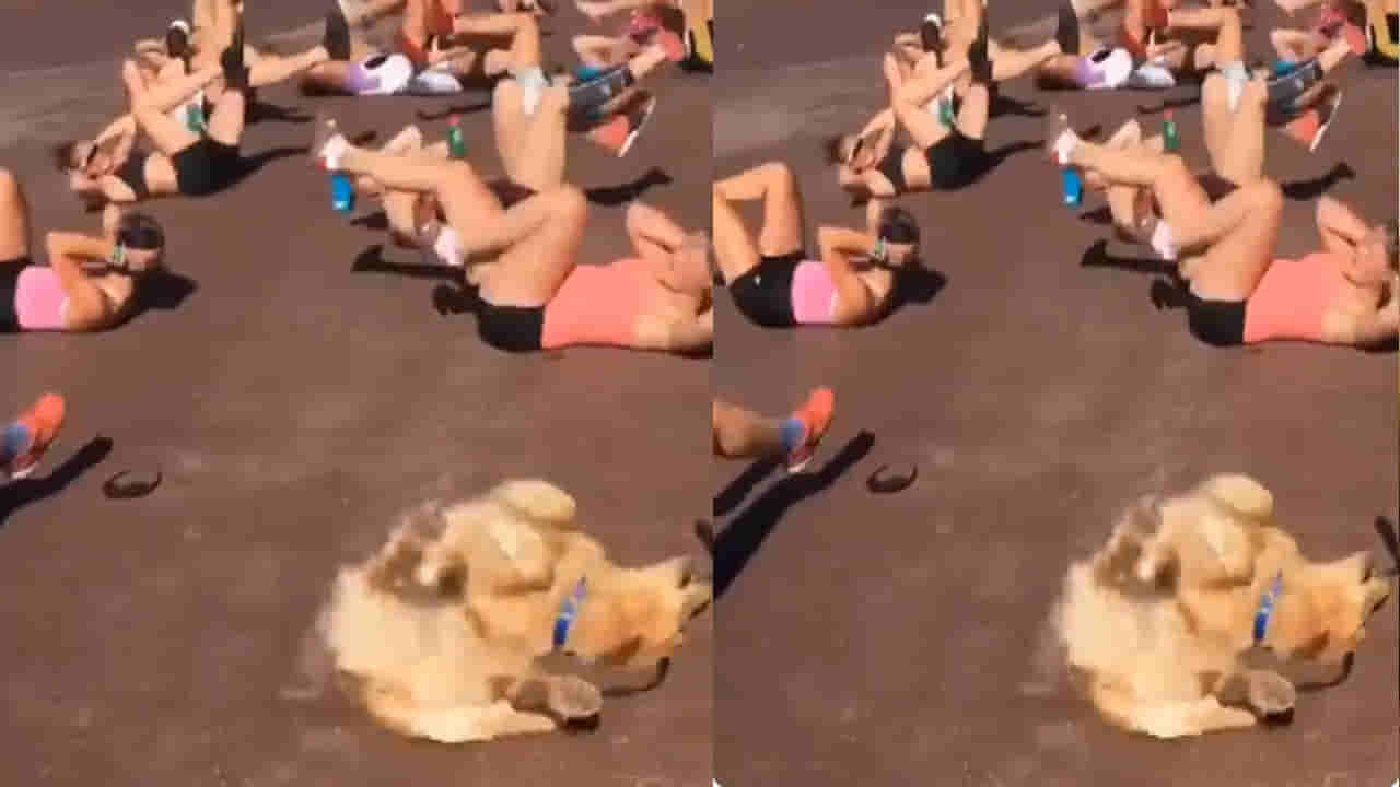 వారెవ్వా.. అందమైన అమ్మాయిలతో కలిసి ఎక్సర్‌సైజ్ చేస్తున్న శునకం.. చూస్తే ఫిదా అవ్వాల్సిందే..