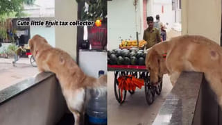 Viral Video: వావ్‌.. వాటే ఐడియా గురూ..! లండన్ వీధుల్లో కొబ్బరి బొండాలు అమ్ముతున్న బ్రిటిష్ వ్యక్తి.. హిందీలో ఇరగదీస్తూ..