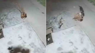 నువ్వు సూపరహే.. బ్రేకప్ చెప్పిన యువతికి షాక్.. తిన్న తిండి డబ్బులు ఇవ్వాలంటూ పెద్ద లిస్టే పంపించాడుగా