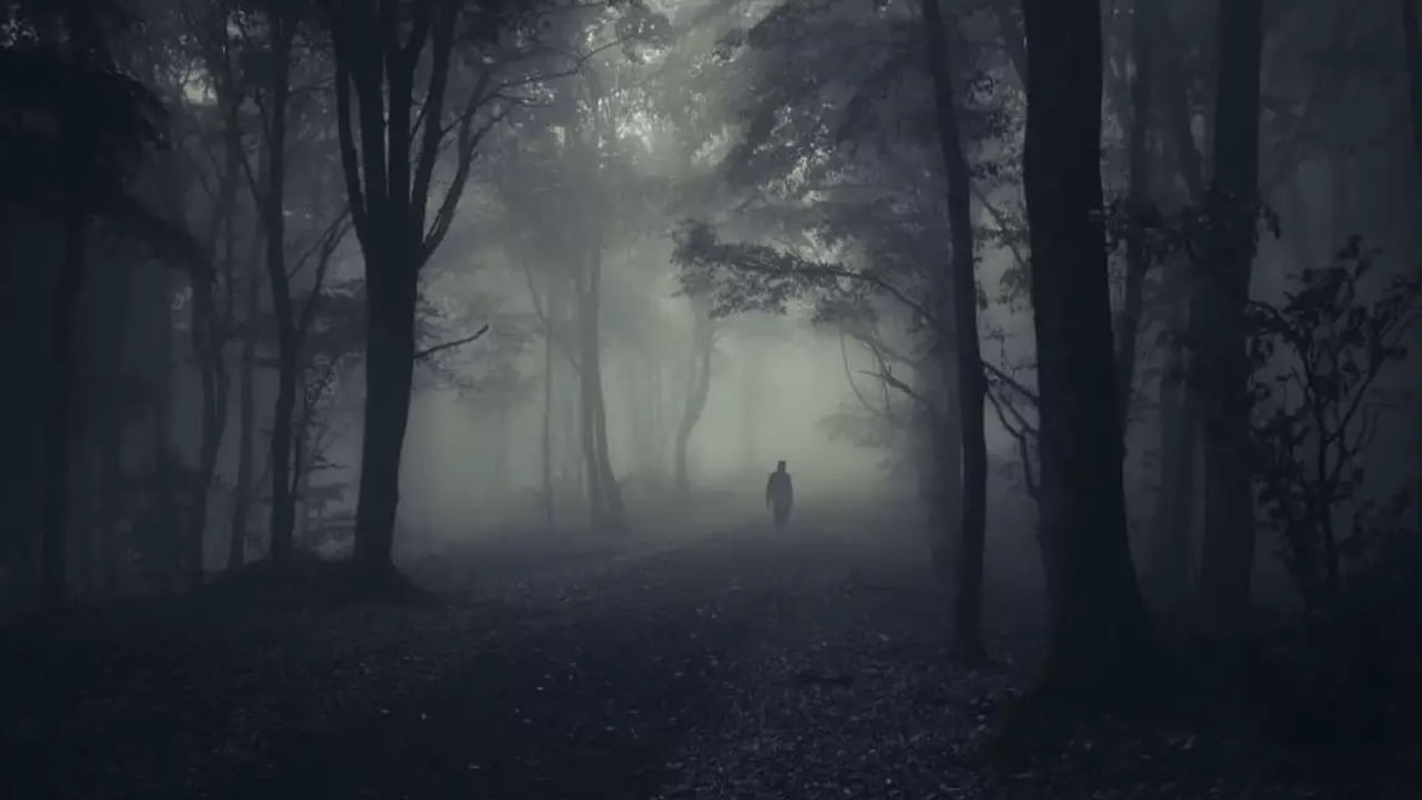 డౌ హిల్ ఫారెస్ట్ – కుర్సియాంగ్, పశ్చిమ బెంగాల్: భారతదేశంలో అత్యంత భయానక ప్రదేశాలలో ఒకటిగా పిలువబడే డౌ హిల్ ఫారెస్ట్, విక్టోరియా బాలుర ఉన్నత పాఠశాలలో ప్రతిధ్వనించే మర్మమైన అడుగుల చప్పుడుతో వణికిపోతుంది. తలలేని బాలుడి దయ్యంలా కనిపించడం కలవరపెట్టే వాతావరణాన్ని మరింత పెంచుతుంది.