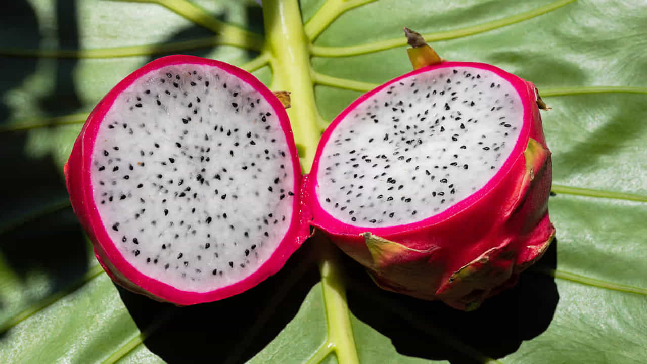 Dragon Fruit