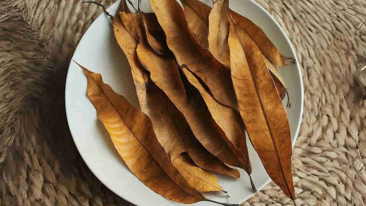 Dried Mango Leaves: ఎండిన మామిడి, జామ, పనస ఆకులకు ఆ దేశంలో భలే గిరాకీ.. ఒక్క ప్యాకెట్ రూ. 500.. ఎందుకు ఉపయోగిస్తారంటే..