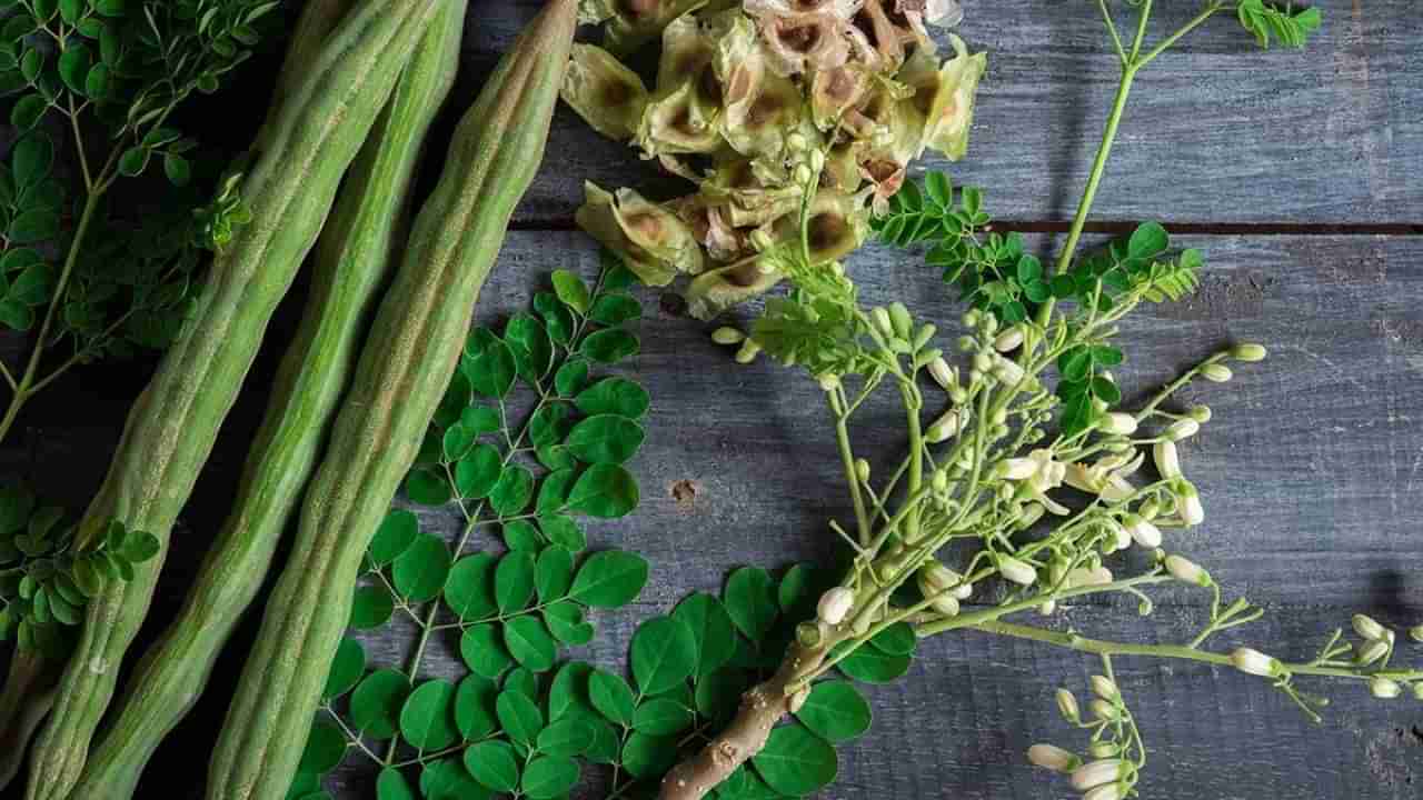 Moringa Benefits: జుట్టు రాలడం ఆగాలంటే ఈ నీళ్లు తాగాల్సిందే..! ఇది మంచి టానిక్ లా పని చేస్తుంది..!