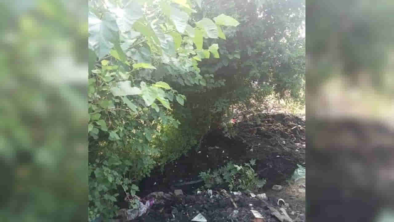 కూరగాయలు అమ్ముకుంటూ అలిసి పోయాడు.. చెట్టు కింద నిద్రిస్తుండగా చెత్త డంప్‌ చేసిన సిబ్బంది..!