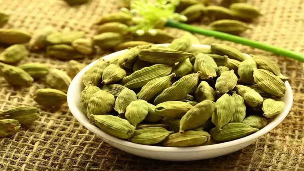 అయితే ఈ యాలకులను ఔషదాలలా కూడా వాడుతుంటారు. ఇవి  జీర్ణ సమస్యలు, శ్వాస సమస్యలు, దంత ఆరోగ్యానికి ఉపయోగపడతాయి.
అంతేకాకుండా సుగంద ద్రవ్యాల తయారీలో కూడా వీటిని ఉపయోగిస్తారు. ఇవి ఎక్కవగా కేరళ, కర్ణాటక, తమిళనాడు రాష్ట్రాలులో దొరుకుతాయి. నల్ల యాలకుల కన్నా ఆకుపచ్చ యాలకులు ప్రపంచవ్యాప్తంగా ఎక్కువ డిమాండ్‌ను కలిగి ఉన్నాయి.