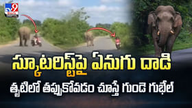 స్కూటరిస్ట్ పై ఏనుగు దా*డి.. వీడియో చూస్తే గుండె గుభేల్ స్కూటరిస్ట్ పై ఏనుగు దా*డి.. వీడియో చూస్తే గుండె గుభేల్