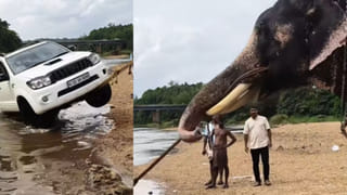 Viral Video: మంచు పర్వతాలు పేకమేడల్లా కూలడం చూశారా..? కింద ఉన్న గ్రామానికి గ్రామమే కనుమరుగు!