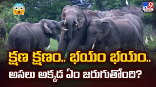 పశువుల పాకలో వింత శబ్ధాలు.. ఏంటా అని చూడగా షాకింగ్‌ సీన్‌..!