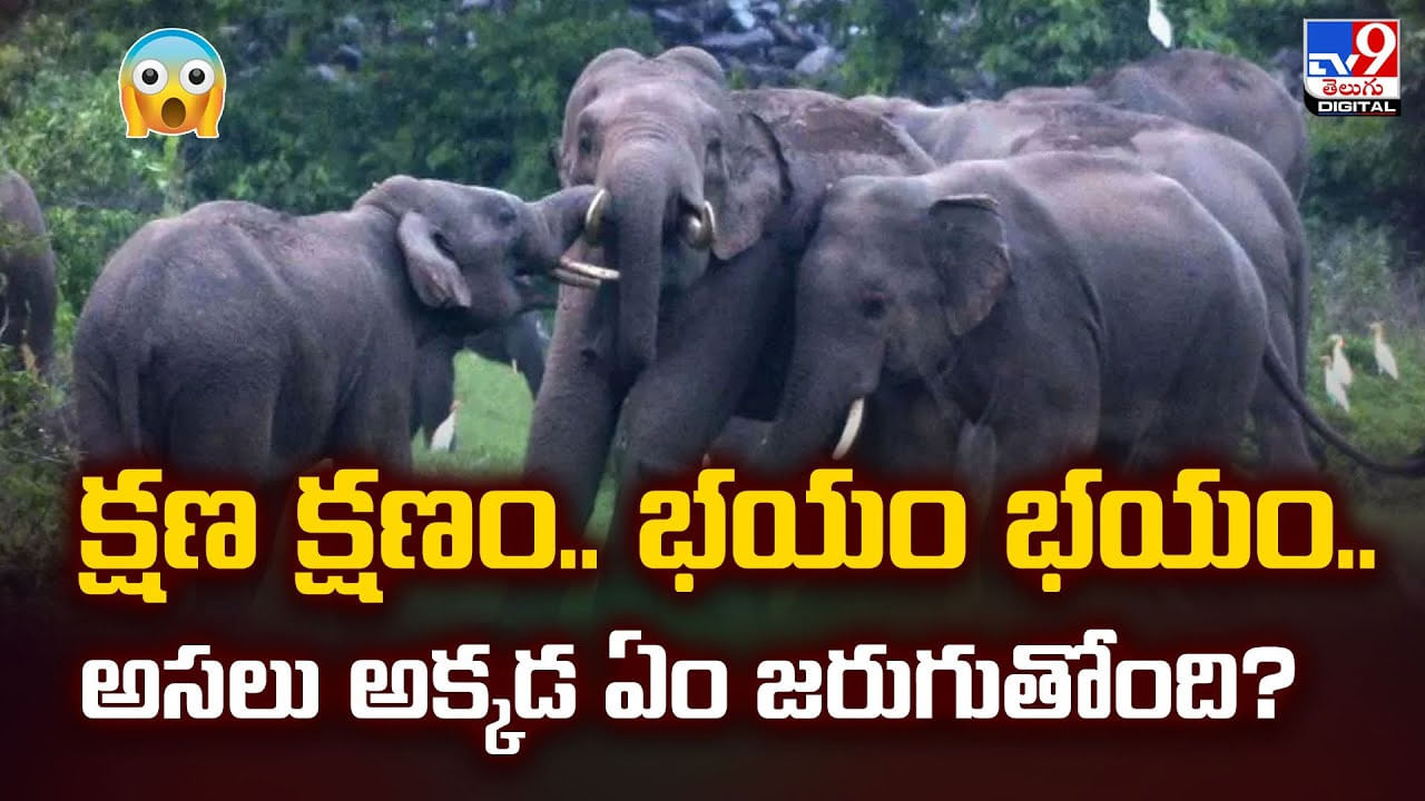 క్షణ క్షణం.. భయం భయం.. అసలు అక్కడ ఏం జరుగుతోంది ??