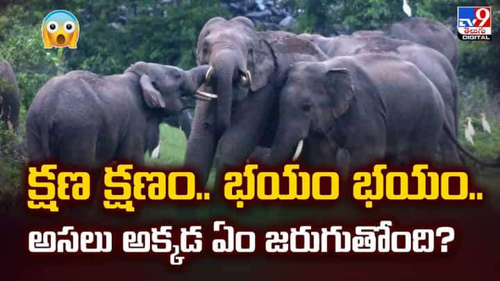 క్షణ క్షణం.. భయం భయం.. అసలు అక్కడ ఏం జరుగుతోంది ?? క్షణ క్షణం.. భయం భయం.. అసలు అక్కడ ఏం జరుగుతోంది ??