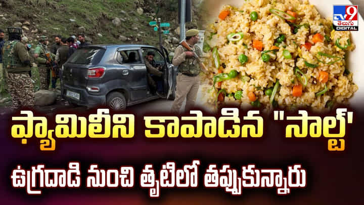 ఫ్యామిలీని కాపాడిన సాల్ట్'.. ఉగ్రదాడి నుంచి తృటిలో తప్పుకున్నారు ఫ్యామిలీని కాపాడిన సాల్ట్'.. ఉగ్రదాడి నుంచి తృటిలో తప్పుకున్నారు