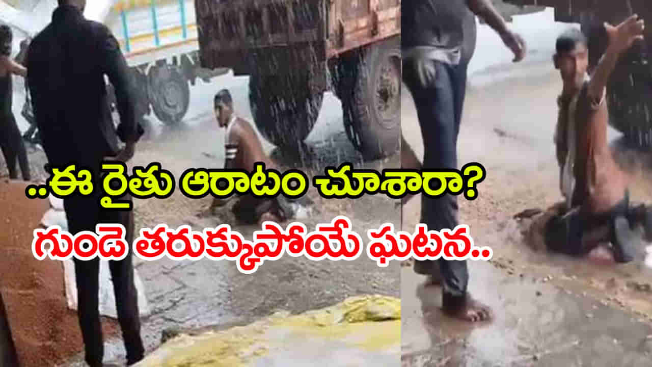Watch Video: వానకు కొట్టుకుపోతున్న పంటను కాపాడుకోవడానికి ఈ రైతు ఆరాటం చూశారా? గుండె తరుక్కుపోయే ఘటన.. వీడియో