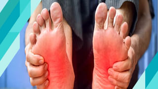 Brown Fat: ఈ కొవ్వు మీ శరీరానికి శ్రీ రామరక్ష.. బ్రౌన్ ఫ్యాట్ అంటే ఏంటి.. దీని గురించి ఈ విషయాలు తెలుసా?