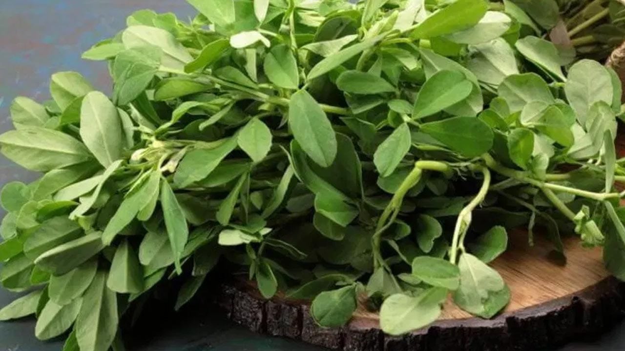 మెంతులు ప్రోటీన్, ఫైబర్ గొప్ప మూలం.. దాని బయోయాక్టివ్ సమ్మేళనాల కారణంగా ఔషధంగా ఉపయోగించవచ్చు. మెంతికూర చెడు కొలెస్ట్రాల్‌ను కూడా తగ్గిస్తుంది.. రెగ్యులర్ గా తీసుకుంటే కొలెస్ట్రాల్ ట్రైగ్లిజరైడ్‌లను తగ్గించడంలో సహాయపడుతుందని నిపుణులు చెబుతున్నారు.