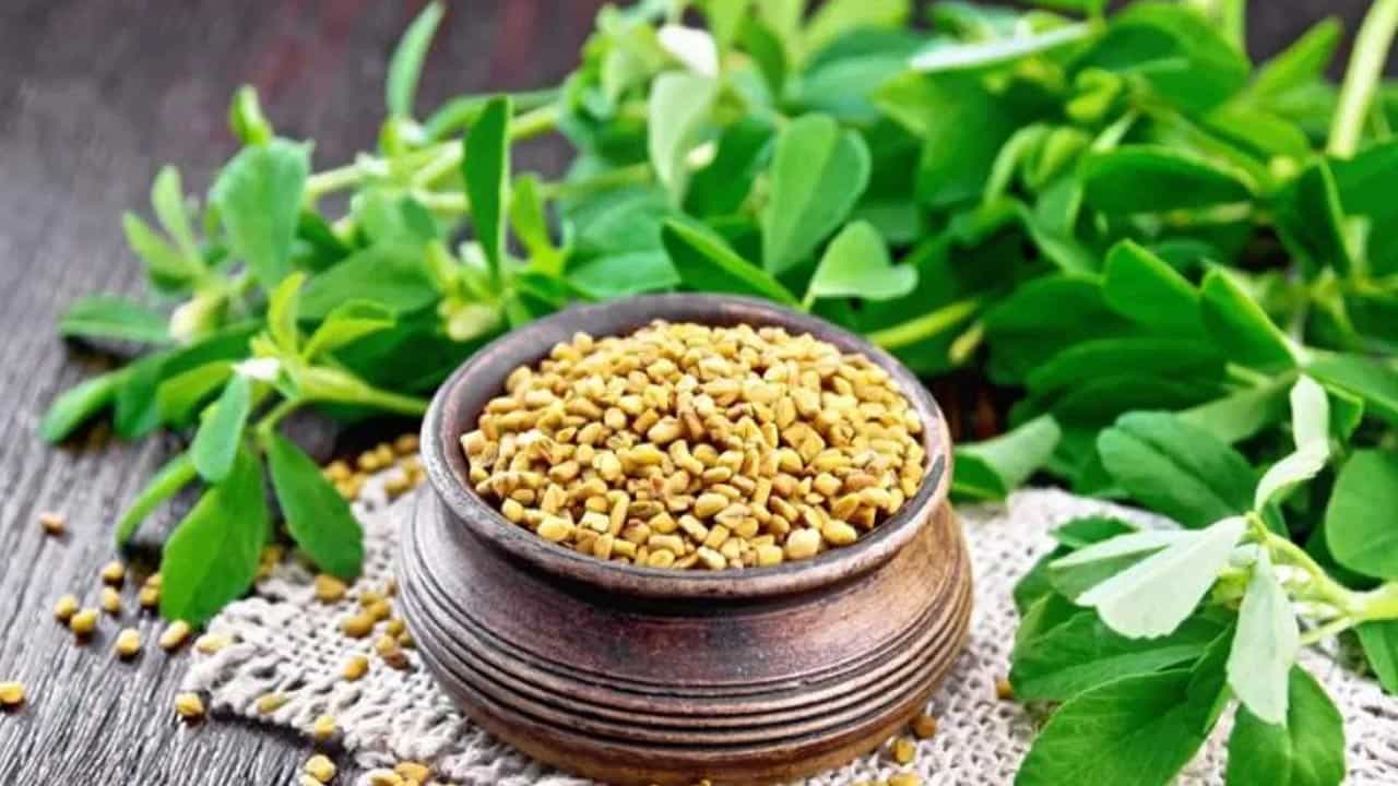మెంతికూరలో ఎన్నో ఔషధ గుణాలు దాగున్నాయి.. వీటిలో మధుమేహ నిరోధక లక్షణాలు ఉన్నాయని.. దీనిద్వారా షుగర్ ను అదుపులో ఉంచుకోవచ్చని వైద్య నిపుణులు చెబుతున్నారు. మెంతి ఆకులు.. యాంటీ డయాబెటిక్, యాంటీ క్యాన్సర్, యాంటీమైక్రోబయల్, యాంటీ ఫెర్టిలిటీ, యాంటీపరాసిటిక్, హైపోకొలెస్టెరోలెమిక్ లక్షణాలను కలిగి ఉన్నాయని పరిశోధనలో తేలింది.. 