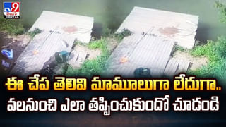 మన్యం గిరుల్లో పూసే.. ఈ పుష్పాల ప్రత్యేకత ఏంటో మీకు తెలుసా !!