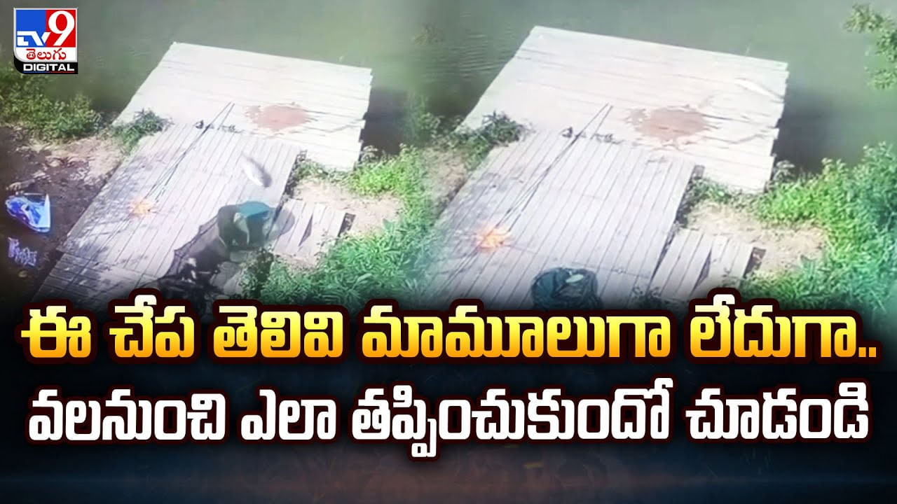 ఈ చేప తెలివి మామూలుగా లేదుగా.. వలనుంచి ఎలా తప్పించుకుందో చూడండి