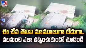 ఈ చేప తెలివి మామూలుగా లేదుగా.. వలనుంచి ఎలా తప్పించుకుందో చూడండి ఈ చేప తెలివి మామూలుగా లేదుగా.. వలనుంచి ఎలా తప్పించుకుందో చూడండి