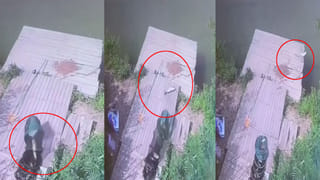 Viral Video: హఠాత్తుగా నడిరోడ్డుపై బస్సు ఆపిన డ్రైవర్‌… తర్వాతి సీన్‌ చూసి ప్రయాణికులు షాక్‌