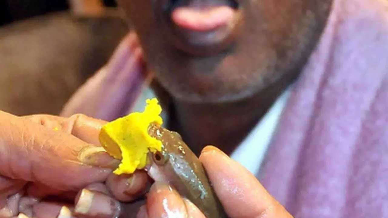 అందుకే ఈ మృగశిర కార్తె వస్తే శరీరంలో వేడి పెంచడానికి చేపలు తినాలంటారు పెద్ద వారు. దీని వలన రోగనిరోధక శక్తి పెరగడమే కాకుండా హానికరమైన వ్యాధుల నుంచి కూడా ఉపశమనం పొందవచ్చు. మరీ ముఖ్యంగా గుండె జబ్బులు, ఆస్తమా నుంచి ఉపశమనం కలుగుతుంది అంటారు.