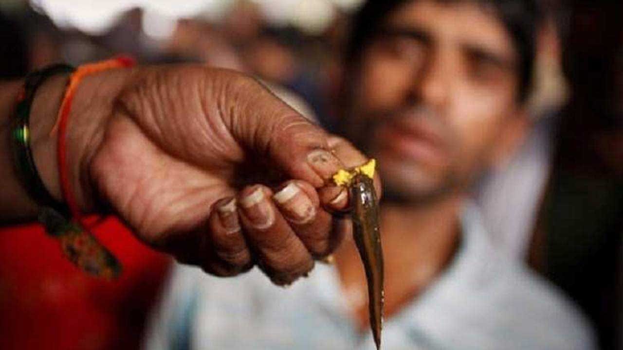 ఇక ఎవరికైనా సరే మృగశిర కార్తె అంటే చేప ప్రసాదమే గుర్తు వస్తుంది. ఈ రోజున పలు ప్రదేశాల్లో చేప ప్రసాదం పంపిణిచేస్తారు. ఆస్తమా, ఉబ్బసం, వంటి సమస్యలతో బాధపడే వారు మృగశిర రోజు చేప ప్రసాదం తింటే ఉపశమనం కలుగుతుందని ప్రజల నమ్మకం. అందుకే ఆ రోజు కొన్ని వేల మంది చేప ప్రసాదం కోసం బారులు తీరుతారు.