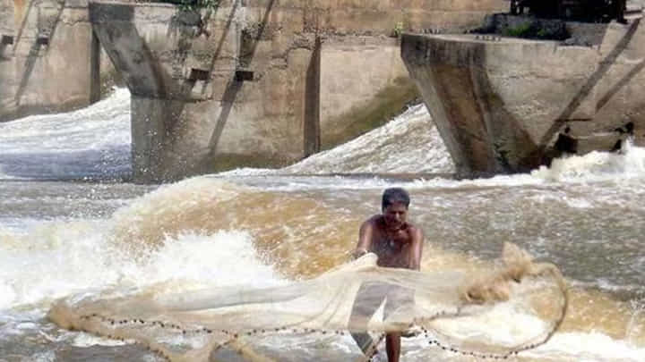 Nizamabad: గంగమ్మకు బాగా మొక్కి వల వేసిన జాలరి.. చిక్కింది చూసి స్టన్.. Nizamabad: గంగమ్మకు బాగా మొక్కి వల వేసిన జాలరి.. చిక్కింది చూసి స్టన్..