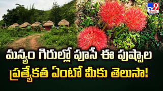 Nimmala Ramanaidu: ఎకరాకు 65 బస్తాలు వరి పండించిన మంత్రి నిమ్మల.. ఆశ్చర్యపోతోన్న రైతాంగం