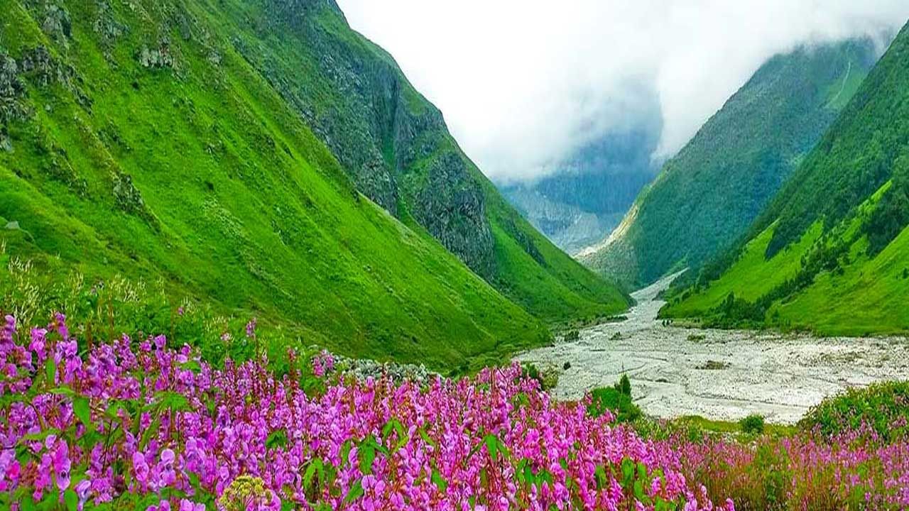 ఉత్తరాఖండ్ లోని ఫ్లవర్స్ వ్యాలీ చూటనికి చాలా అద్భుతంగా ఉంటుంది. సుందరమైన పూలతో కప్పబడిన ఆల్ఫైన్ పచ్చిక భూములు చుట్టూ కొండలు చూడటానికి చాలా బాగుంటాయి. అంతే కాకుండా ఈ ప్రదేశం వర్షాకాలంపూర్తిగా పూలతో నిండిపోయి ఉంటుందంట. అక్కడి పూలసోయగం పర్యాటకులను ఎంతగానో ఆకర్షిస్తుంది.