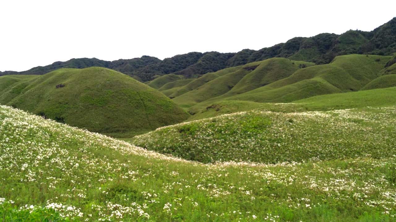 అందమైన పూలతోటలు, గలగలపారే వాగులు, అద్భుతంగా ఉండే కొండలు, పచ్చటి ప్రకృతి మధ్య సువాసనలు వెదజల్లే పూల మధ్య ఎంజాయ్ చేయాలి అనుకుంటే నాగాలాడ్ అండ్ మణిపూర్ దగ్గరలోని జుకో లోయ బెస్ట్ ప్లేస్.