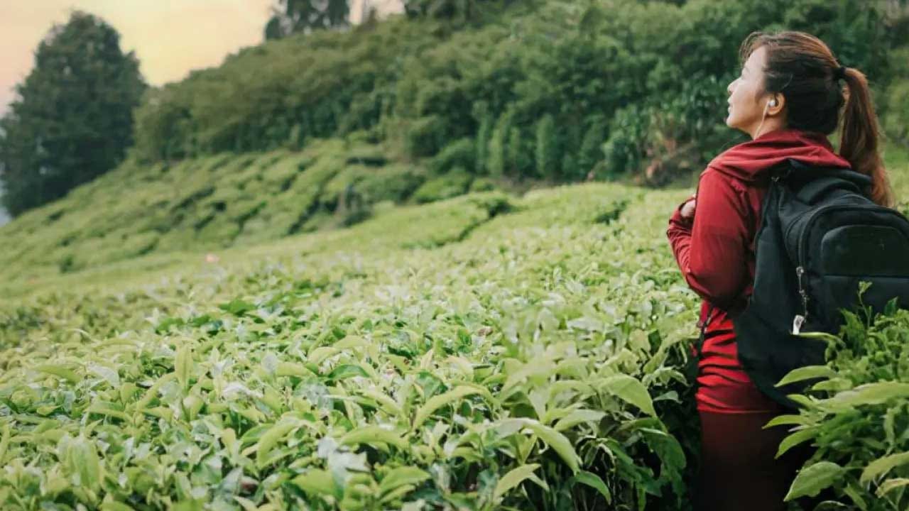 పర్యాటకులు మెచ్చే అతిసుందరమైన ప్రదేశాల్లో కేరళలోని పశ్చిమ కనుమల్లో ఉన్న మున్నార్ . సుందరమైన కొండ ప్రాంతం. ఇక్కడి అందమైన కొండలు పర్యాటకులకు ఆనందాన్ని ఇస్తాయి. అలాగే బాల్సమ్‌లు, ఆర్కిడ్‌లు, ఎనిమోన్‌లు ప్రతి 12 సంవత్సరాలకు ఒకసారి వికసించే అరుదైన నీలకురింజి వంటి వివిధ రకాల అడవి పువ్వులు ఆకట్టుకుంటాయి. 