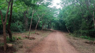 AP Weather: ఆంధ్రాలో పిడుగులతో వర్షాలు.. ఆ జిల్లాలకు రెడ్ అలెర్ట్..