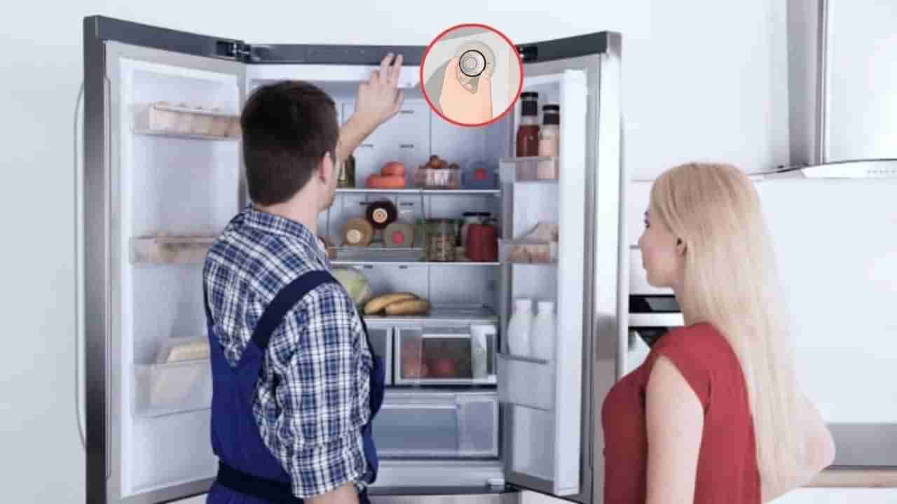 Fridge Temperature: వేసవిలో ఫ్రిజ్ను ఏ ఉష్ణోగ్రత వద్ద ఆపరేట్ చేయాలి?