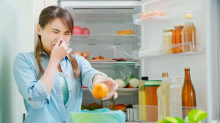 Fridge Ice: ఫ్రీజ్‌లో తరచుగా ఐస్‌ పేరుకుపోతుందా? ఇలా తొలగించండి.. బెస్ట్‌ ట్రిక్స్‌!