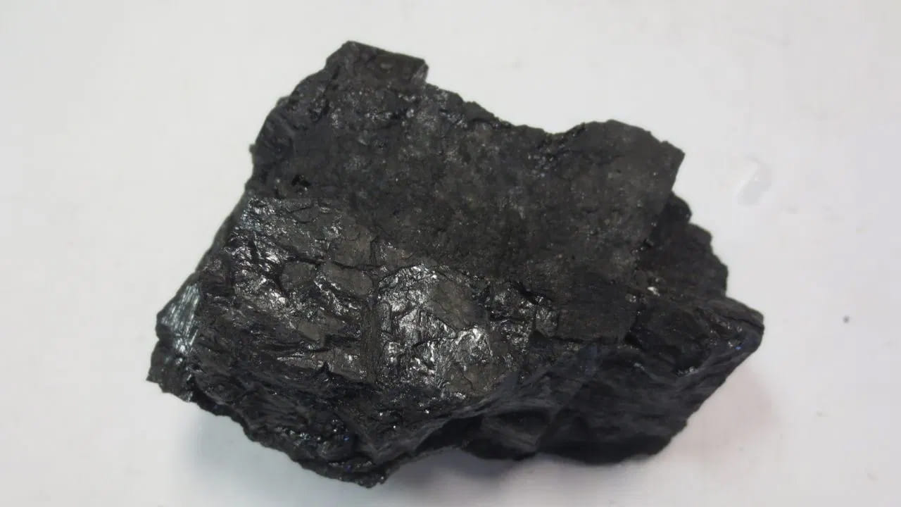 బొగ్గు: మీ ఇంట్లో లేదా చుట్టుపక్కల బొగ్గు ఉంటే, మీరు దానిలో ఒక చిన్న ముక్కను ఫ్రిజ్ మూలలో కూడా ఉంచవచ్చు. అది ఫ్రిజ్ నుండి వచ్చే వింత వాసనను కూడా తొలగిస్తుంది.