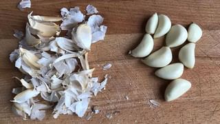 Cutlet Recipes: హాలిడేస్‌లో బెస్ట్ స్నాక్ ఐటెమ్స్.. ఈ 3 రకాల కట్లెట్స్ ట్రై చేయండి