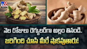 నెల రోజులు రెగ్యులర్గా అల్లం తినండి.. జరిగింది చూసి షాకవుతారు నెల రోజులు రెగ్యులర్గా అల్లం తినండి.. జరిగింది చూసి షాకవుతారు