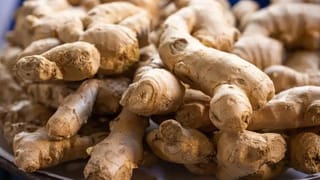 Covid-19: కరోనా అలర్ట్.. JN.1 వేరియంట్ అంత ప్రమాదకరమైనదా..? లక్షణాలు ఎలా ఉంటాయంటే..