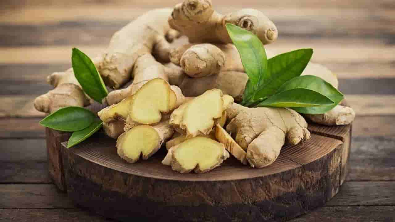 Kitchen Hacks: అల్లంని ఇలా నిల్వ చేయండి.. మస్తు రోజులు ఫ్రెష్‌ గా ఉంటుంది..!