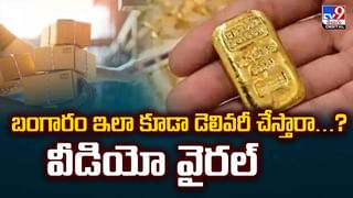 ఆ ఆసుపత్రికి కొండముచ్చే హై సెక్యురిటీ వీడియో