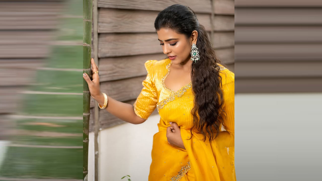 ఈ ఏడాది పండక్కి ప్రేక్షకుల ముందుకి వచ్చిన సంక్రాంతికి వస్తున్నాం సినిమాతో తెలుగులో మరో బ్లాక్ బస్టర్ అందుకుంది ఈ వయ్యారి. ప్రస్తుతం కరుప్పర్ నగరం, మోహన్ దాస్, తీయవర్ కులైగల్ నడుంగ అనే తమిళ సినిమాలతో పాటు ఉత్తరాఖండ అనే ఓ కన్నడ సినిమాలో నటిస్తుంది.