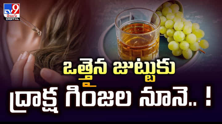 ఒత్తైన జుట్టుకు ద్రాక్ష గింజల నూనె.. ! ఒత్తైన జుట్టుకు ద్రాక్ష గింజల నూనె.. !