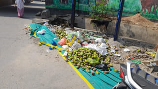 Kadapa: ఆపినా ఆగని క్యాబేజీ లోడ్ లారీ.. ఛేజ్ చేసి ఆపి చెక్ చేయగా.. షాక్