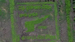 వామ్మో ఇదెక్కడి మోసం! ఇన్స్పెక్షన్‌కు వచ్చిన బ్యాంక్‌ ఆఫీసర్‌ను ఇంట్లో బంధించి, బట్టలు తీయించి..