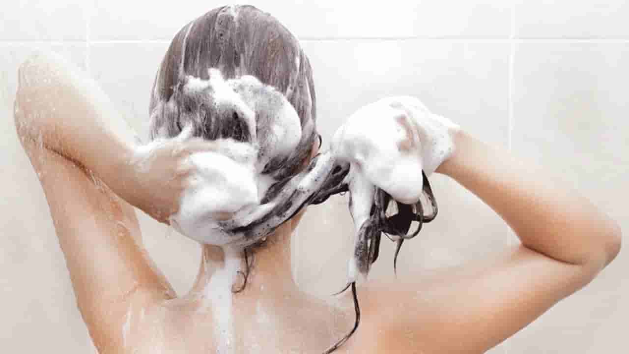 Natural Hair Care: షాంపూతో తలస్నానం చేస్తున్నారా..? జుట్టుకు ప్రాణం పోయాలంటే వీటి గురించి తెలుసుకోవాల్సిందే..!