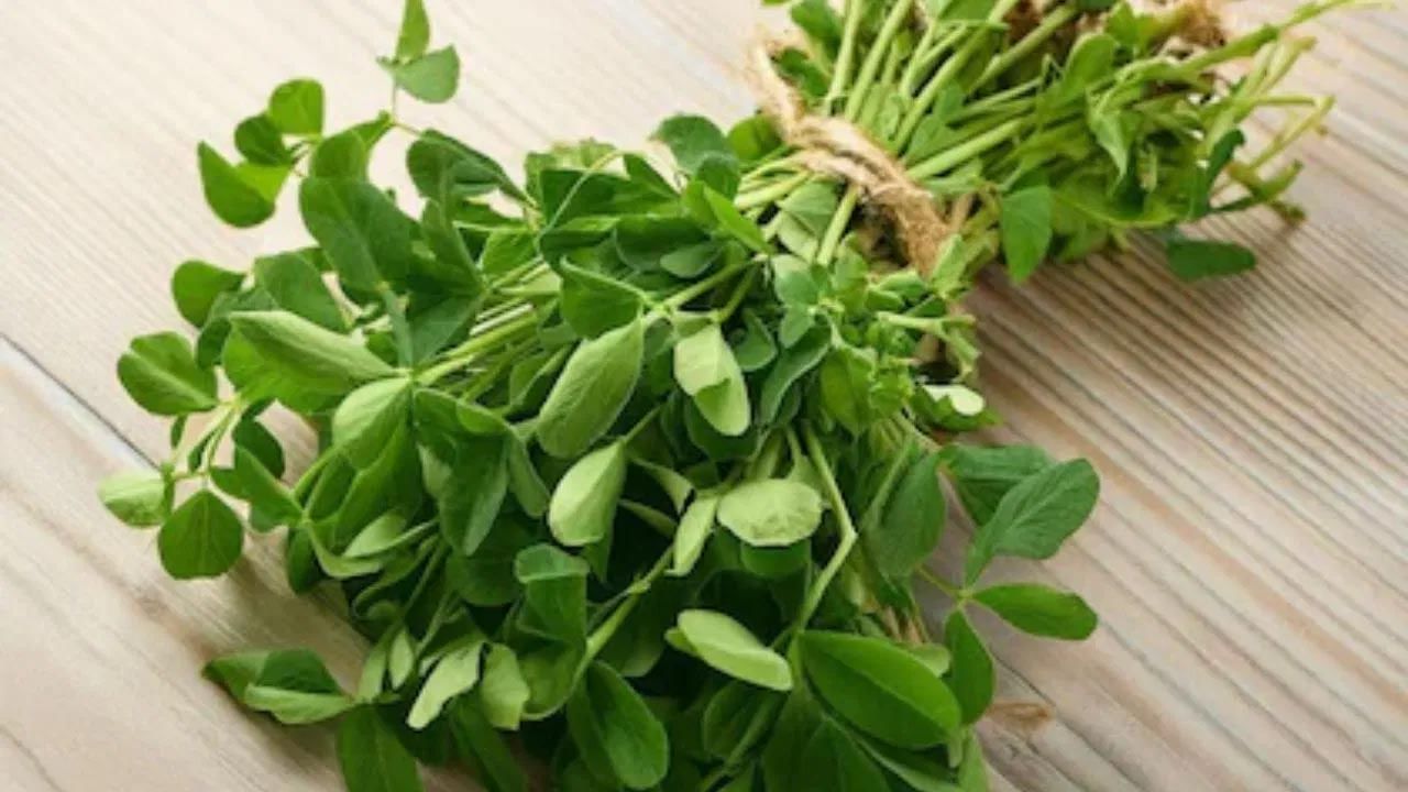 మెంతులలోని యాంటీవైరల్ లక్షణాలు గొంతు నొప్పి సమస్యను దూరం చేస్తాయి.. ఇంకా జుట్టు రాలడం, మలబద్ధకం, పేగు ఆరోగ్యం, మూత్రపిండాల వ్యాధి, వేడి ఆవిర్లు, పురుషులలో వంధ్యత్వం వంటి వాటికి చికిత్స చేయడంలో మెంతి కూర, మెంతులు ప్రభావవంతంగా ఉంటాయని చెబుతున్నారు ఆయుర్వేద నిపుణులు.. అయితే.. ఏమైనా అనారోగ్య సమస్యలుంటే వైద్యులను సంప్రదించి తినడం మంచిది.