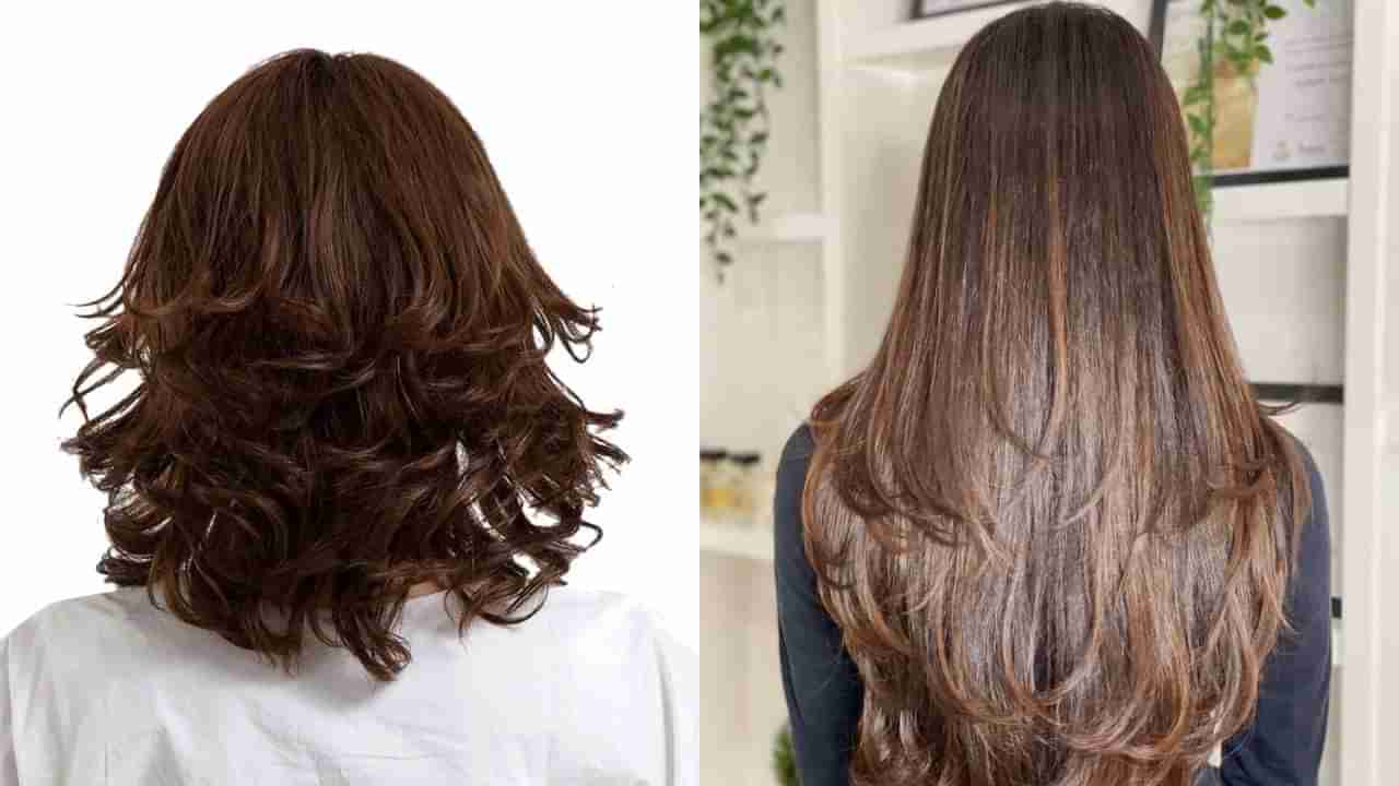 Hair Health: ఇవి తింటే జుట్టు ఒత్తుగా, పెద్దగా పెరుగుతుంది..!